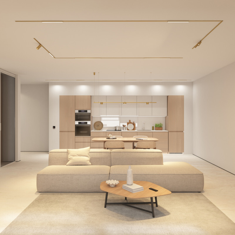 Трековый магнитный светильник Denkirs Shine Linear Zigbee DK5951-SB