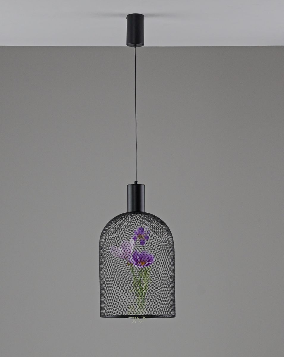 Подвесной светильник Moderli Ophelia V11875-PL