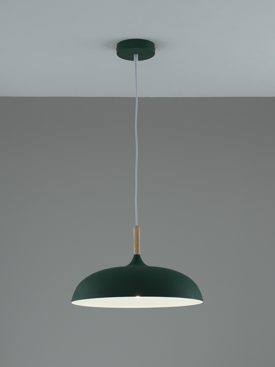 Подвесной светильник Moderli Hygo V11804-1P