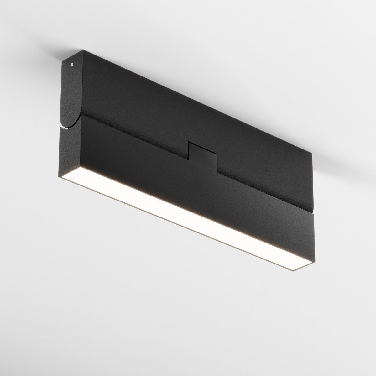 Настенно-потолочный светильник Maytoni Basis Rot C133CL-12W3K-B