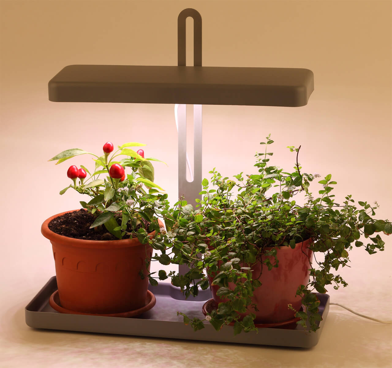 Светодиодный светильник для растений ЭРА FITO-20W-QLED-G Б0039035