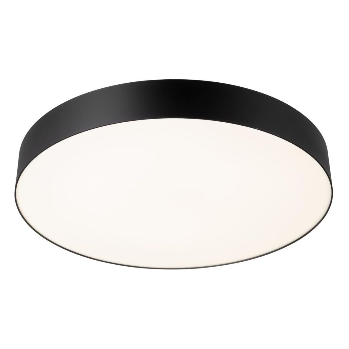 Потолочный светильник Citilux Bart CL755491