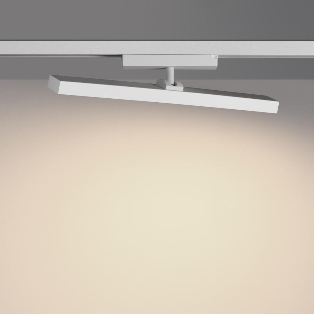 Трековый однофазный светильник с переключателем цв. температуры Novotech Port Stratus 359776