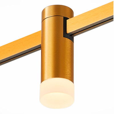 Трековый магнитный светильник ST Luce Farm ST81220603 3770₽