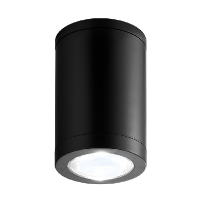 Потолочный уличный светильник Escada 30008 30008P01 710₽