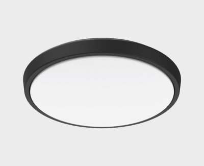 Уличный потолочный светильник Italline IT6011 9850₽