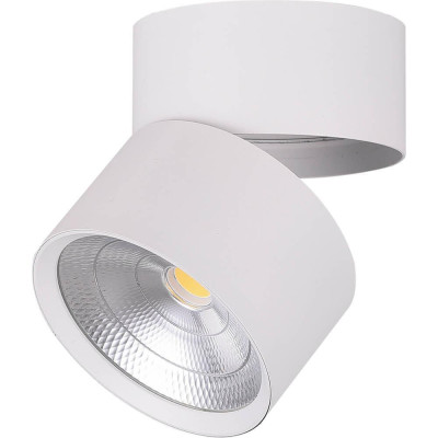 Светодиодный спот Feron AL520 32461 2311₽