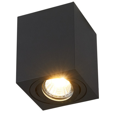 Накладной светильник Simple Story 2038-1CLB 1445₽