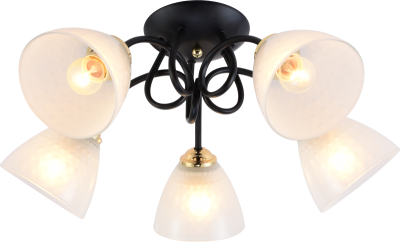 Потолочная люстра Rivoli Luiza 9140-305 Б0054904 5659₽