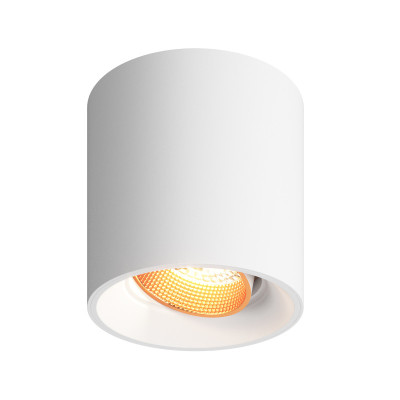 Накладной светильник Denkirs Dk3040 DK3090-WBR 905₽