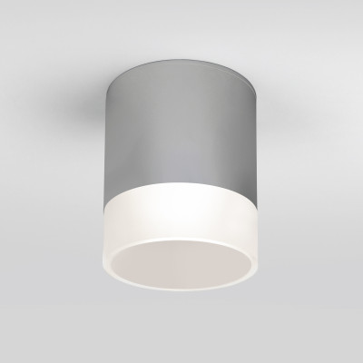 Уличный потолочный светильник Elektrostandard Light LED 4690389177965 1490₽