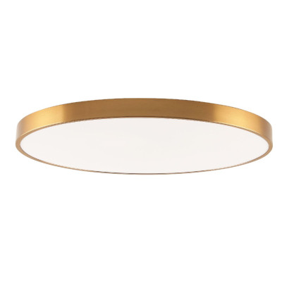 Потолочный светильник Zortes Tortty ZRS02566120 21420₽