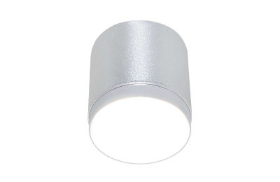 Накладной светильник Maytoni Polar C088CL-GX53-S 990₽