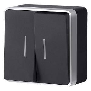 Выключатель двухклавишный с подсветкой Werkel Gallant (черный с серебром) W5020134 4690389164217 a051142