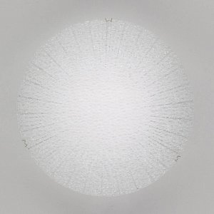 Настенный светильник Citilux Лучи CL917002