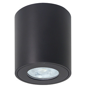 Накладной светильники Arte Lamp Tino A1469PL-1BK