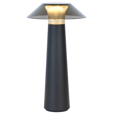 Настольная лампа с аккумулятором Elektrostandard Future TL70200 4690389192029 a062379 6740₽