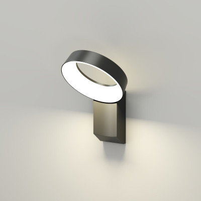 Фасадный светильник Denkirs Sanvik DK9712-BK 7150₽