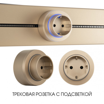 Трековая розетка Arte Milano Am-track-sockets-39 397951TSES Gold 1252₽
