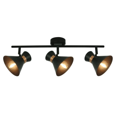 Спот Arte Lamp Baltimore A1406PL-3BK 3380₽