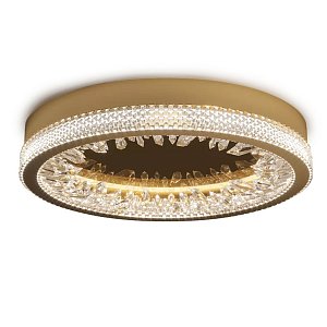 Настенно-потолочный светильник Delight Collection XD-50 gold