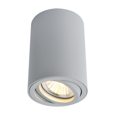 Потолочный светильник Arte Lamp A1560PL-1GY 280₽