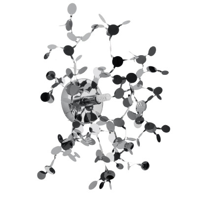 Настенный светильник Lightstar Extra 721634 5099₽