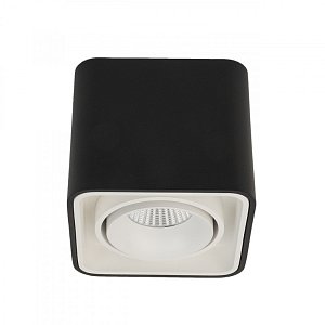 Влагозащищенный светильник LeDron TUBING Black/White