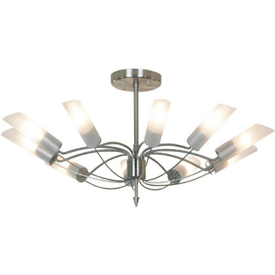 Потолочная люстра Lussole Lano LSA-2813-10 17399₽