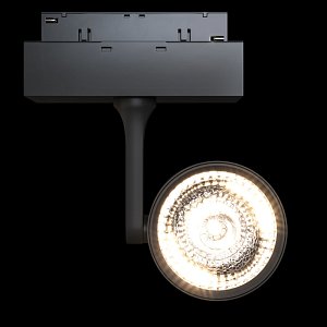 Трековый светильник Maytoni Oko TR024-2-10B4K