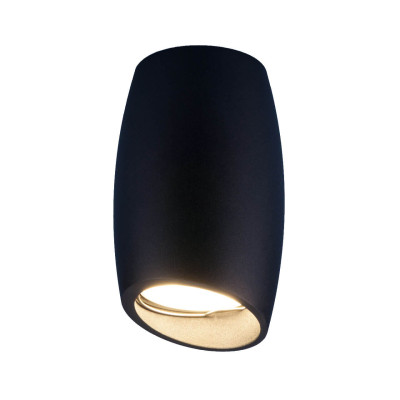 Накладной светильник Elektrostandard DLN002 MR16 BK черный 1490₽