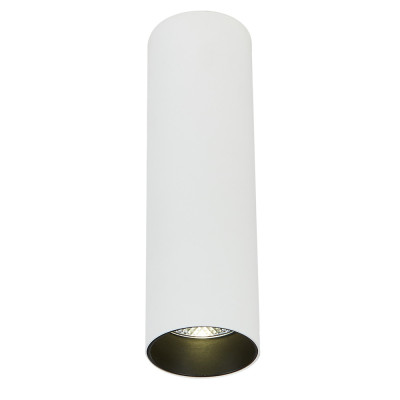 Накладной светильник Simple Story 2053-LED10CLW 2287₽