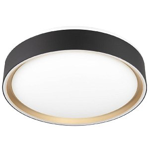 Потолочный светильник Citilux Boss CL751251G