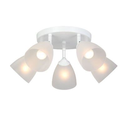 Спот Vitaluce V4355-05PL 5724₽