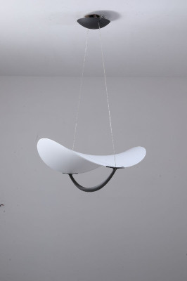 Подвесной светильник Zortes Quincy ZRS158513 72850₽