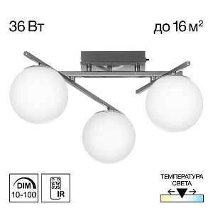 Потолочная люстра Citilux Dorsy CL223131