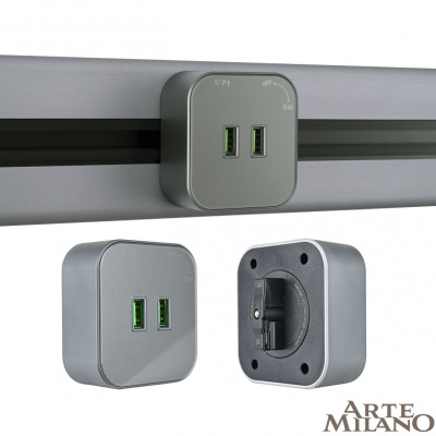 Трековая розетка Arte Milano Am-track-sockets 380022TSUSBx2 Grey 1644₽