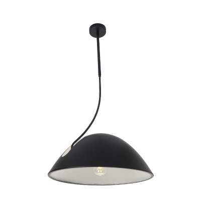 Подвесной светильник Zortes Korkee ZRS180250 17504₽