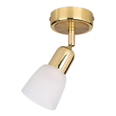 Спот Escada 5039 50391PA 1610₽