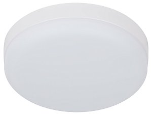Настенно-потолочный светильник Эра LED 15-24-6K Б0054335