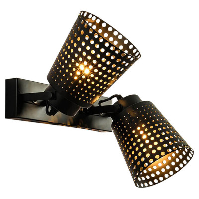 Спот Lussole LSP-9835 6920₽