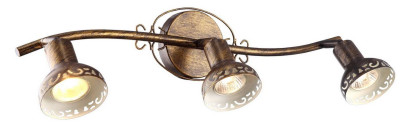 Спот Arte Lamp Focus A5219PL-3BR 3450₽