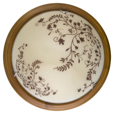 Настенно-потолочный светодиодный светильник Toplight Irene TL9630Y-00OA 4800₽