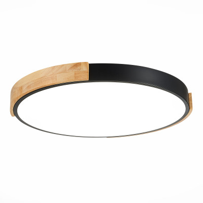 Потолочный светильник Evoluce Delia SLE201342-01 9889₽