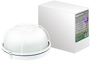Настенно-потолочный светодиодный светильник TDM Electric LED ЖКХ 1302 SQ0329-0035