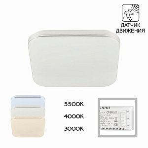 Потолочный светильник Citilux Симпла CL714K24SV
