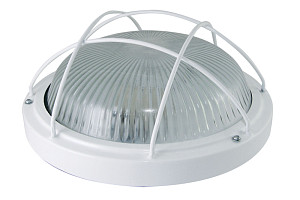Настенно-потолочный светильник TDM Electric НПП 03-100-102 SQ0311-0018
