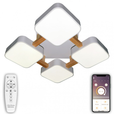 Потолочный светильник Natali Kovaltseva LED LAMPS 81323 10919₽