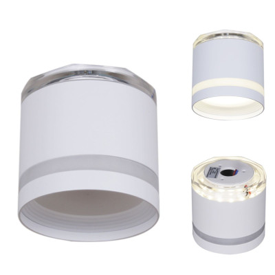 Накладной светильник Reluce 53001-95-001LD GX53LED3W WT 1190₽