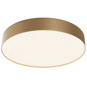 Потолочный светодиодный светильник Maytoni Technical Ceiling Zon C032CL-45W4K-RD-MG